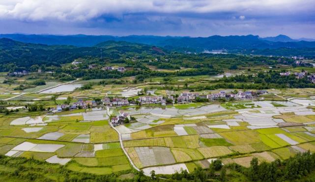 泸溪县武溪镇村集体经济早蜜橘产业园