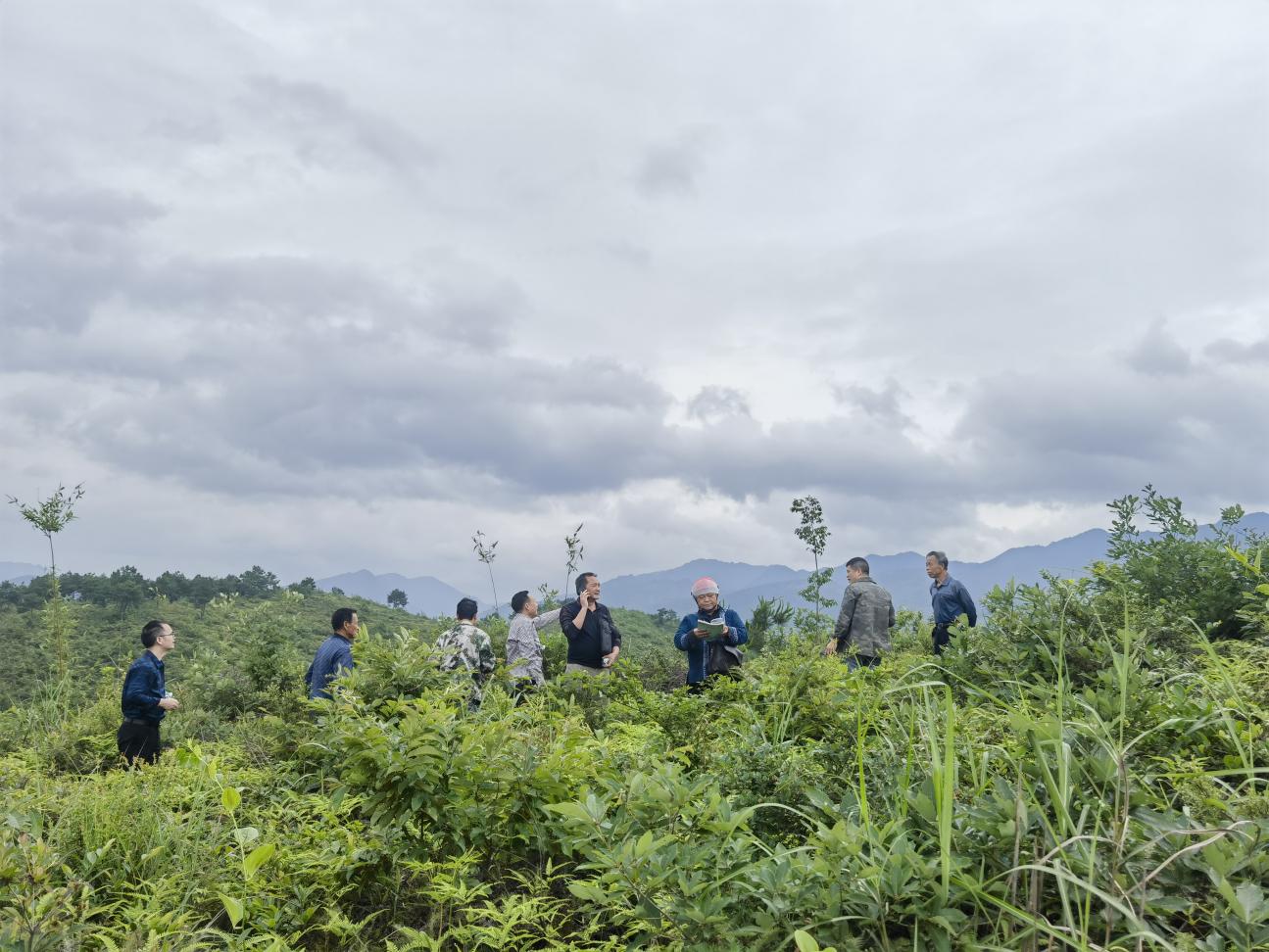 图片3.jpg 图片3.jpg