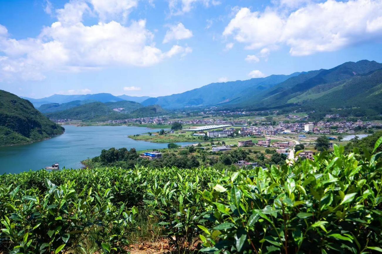 图片2.jpg 图片2.jpg