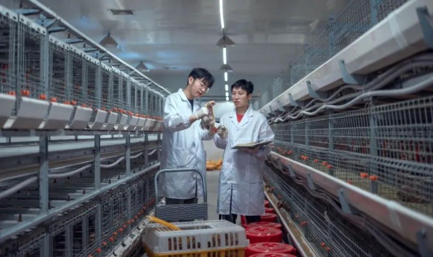 图片2.jpg
