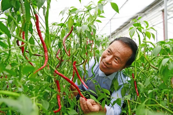 图片1.jpg 图片1.jpg