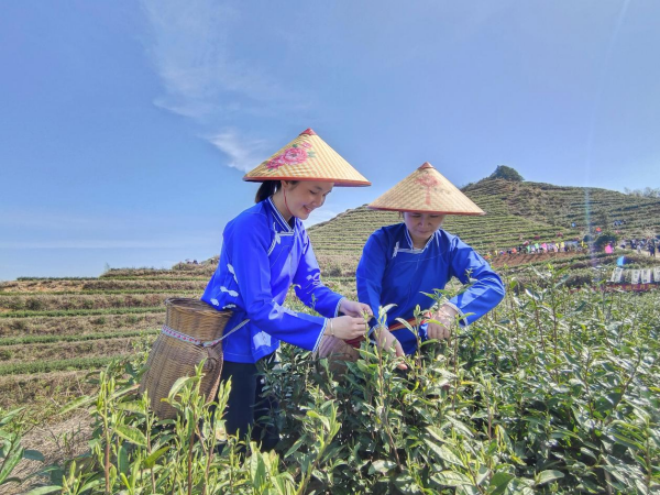 图片4.png