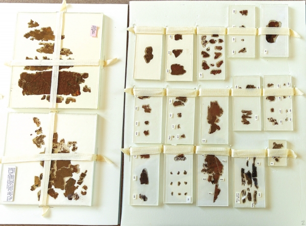 res07_attpic_brief.jpg res07_attpic_brief.jpg