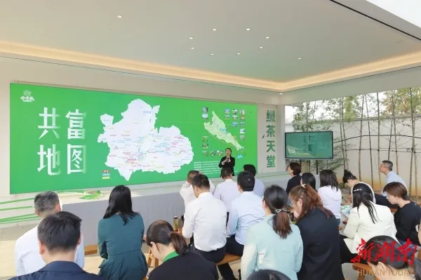 图片14.png