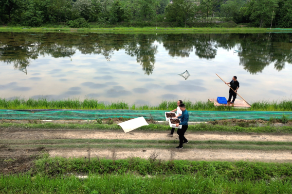 图片2.png 图片2.png