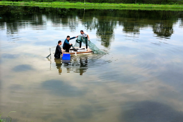 图片4.png 图片4.png