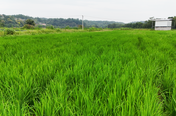 图片6.png 图片6.png