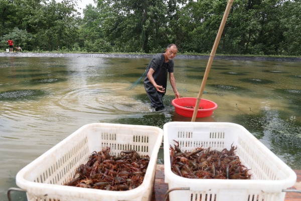 图片5.jpg 图片5.jpg