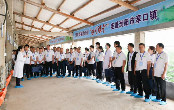 图片3.png 图片3.png