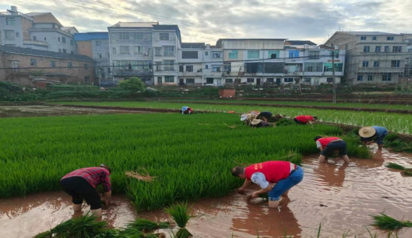 图片1.png 图片1.png