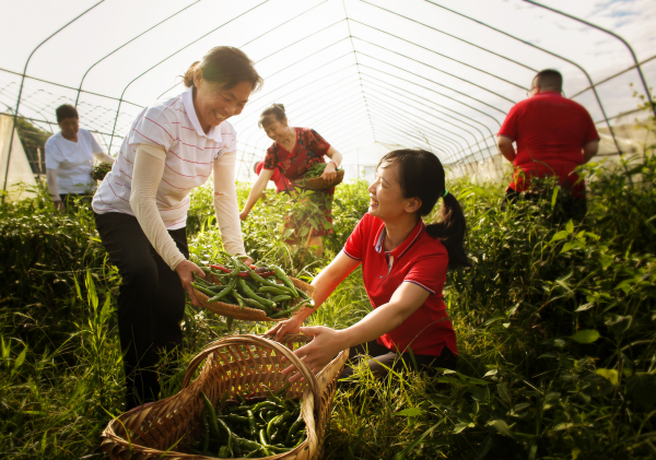 图片2.png 图片2.png