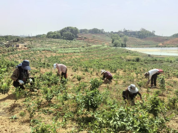 图片6.jpg 图片6.jpg