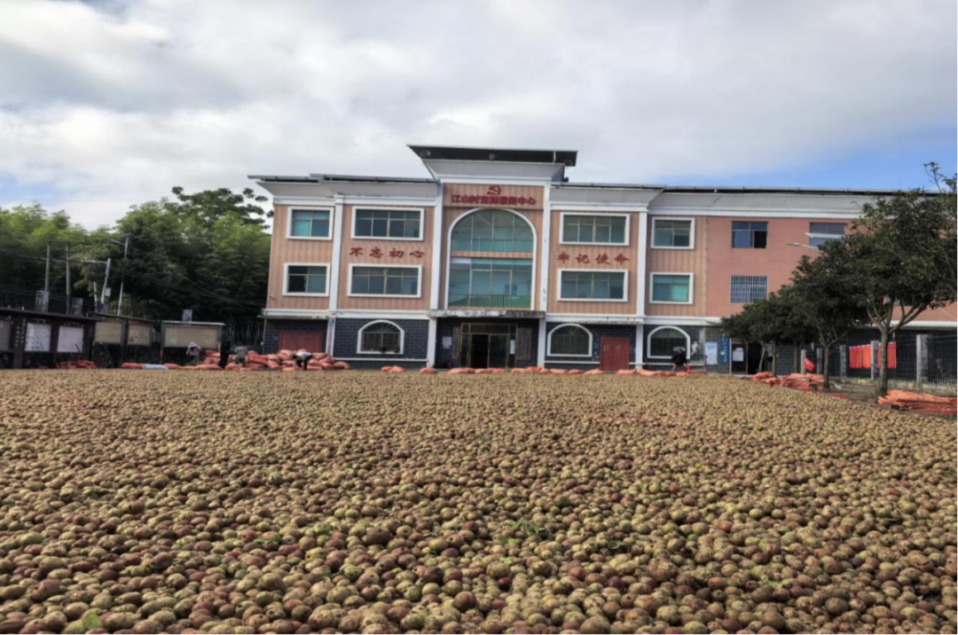 图片10.png 图片10.png