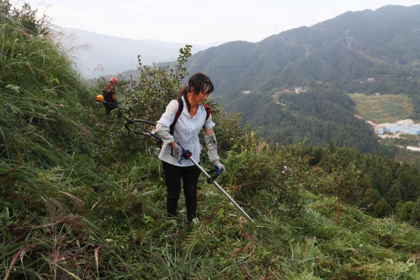 图片2.jpg 图片2.jpg