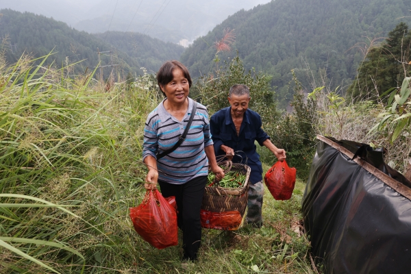 图片3.jpg 图片3.jpg