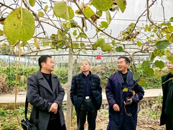 图片3.jpg 图片3.jpg