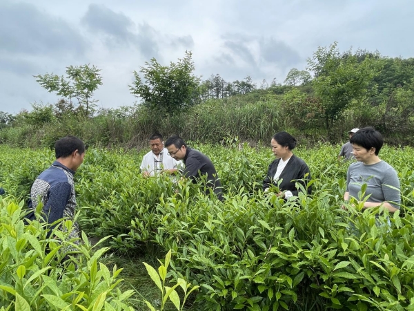 图片4.jpg 图片4.jpg