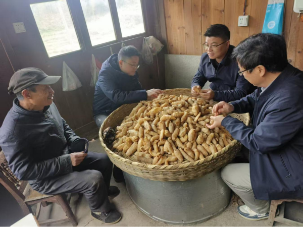 图片4.png 图片4.png