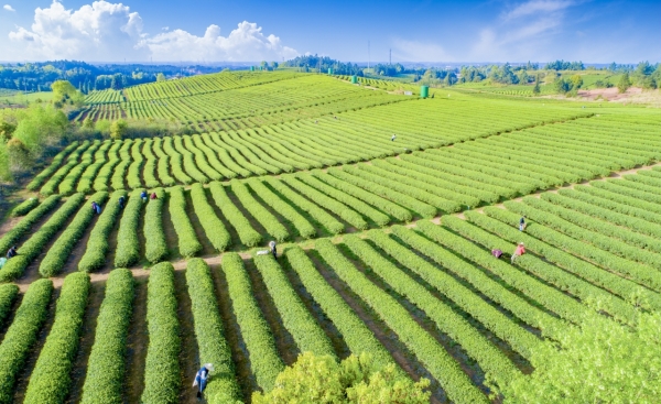 图片5.jpg 图片5.jpg