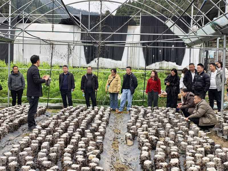 四维2.jpg 四维2.jpg