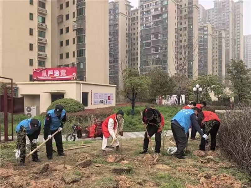 图片7.jpg 图片7.jpg