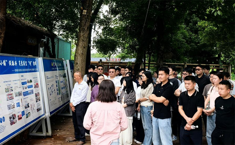 图片11.jpg