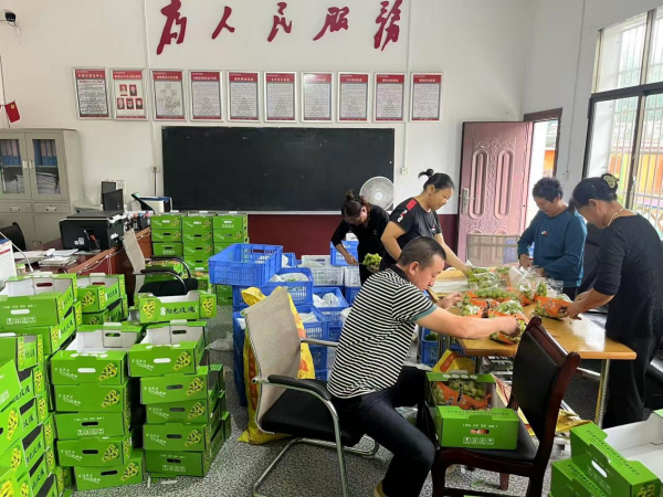 图片9.png 图片9.png