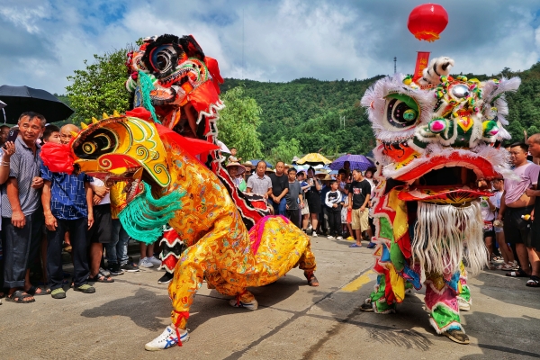 图片6.jpg