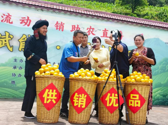 微信图片_20260730110014_18_464.png
