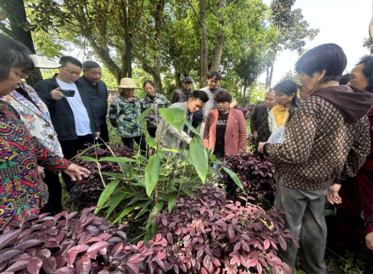 微信图片_20260827095609_575_730.png 微信图片_20260827095609_575_730.png